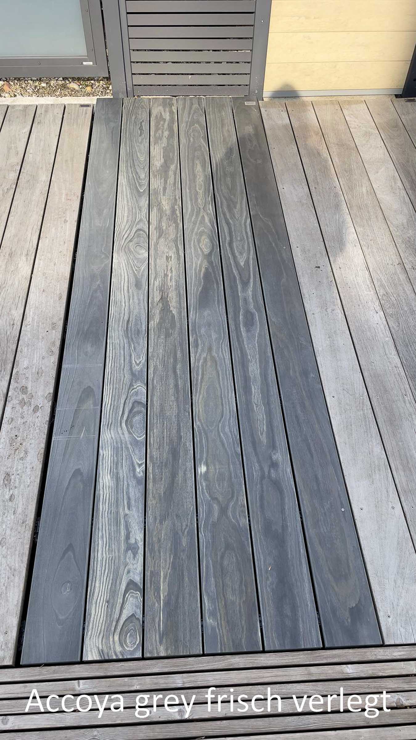 Accoya grey - jetzt in der Austellung