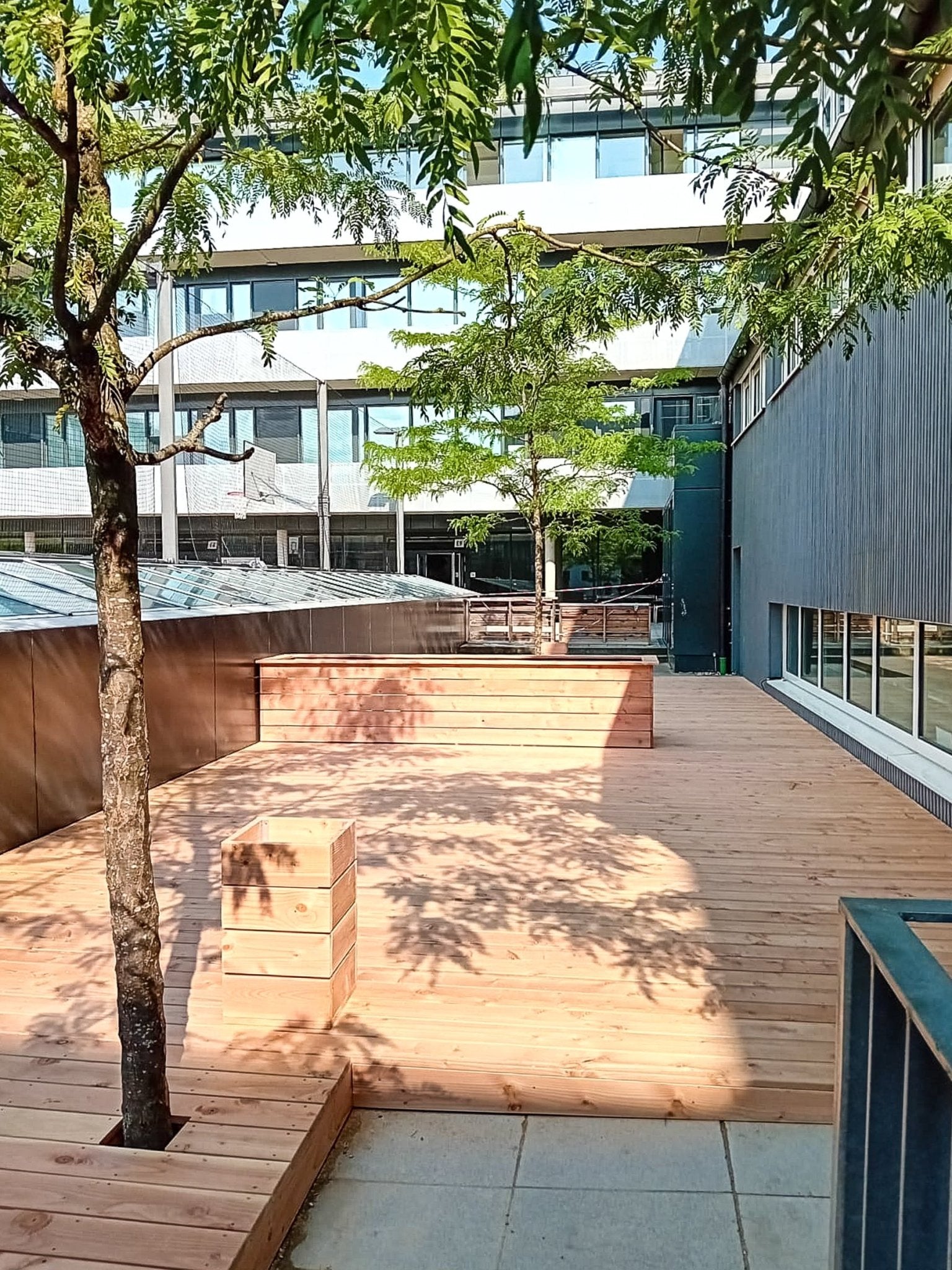 Douglasien Terrasse - Holz Widmann - Meine Holzhandlung - Holz kaufen München