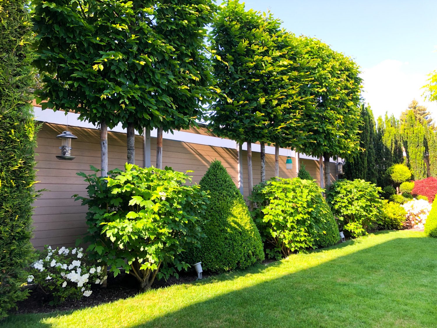 WPC Sichtschutz: Perfekter Garten mit Sandfarbenem Zaun und Milchglas-Band - Holz Widmann - Meine Holzhandlung - Holz kaufen München