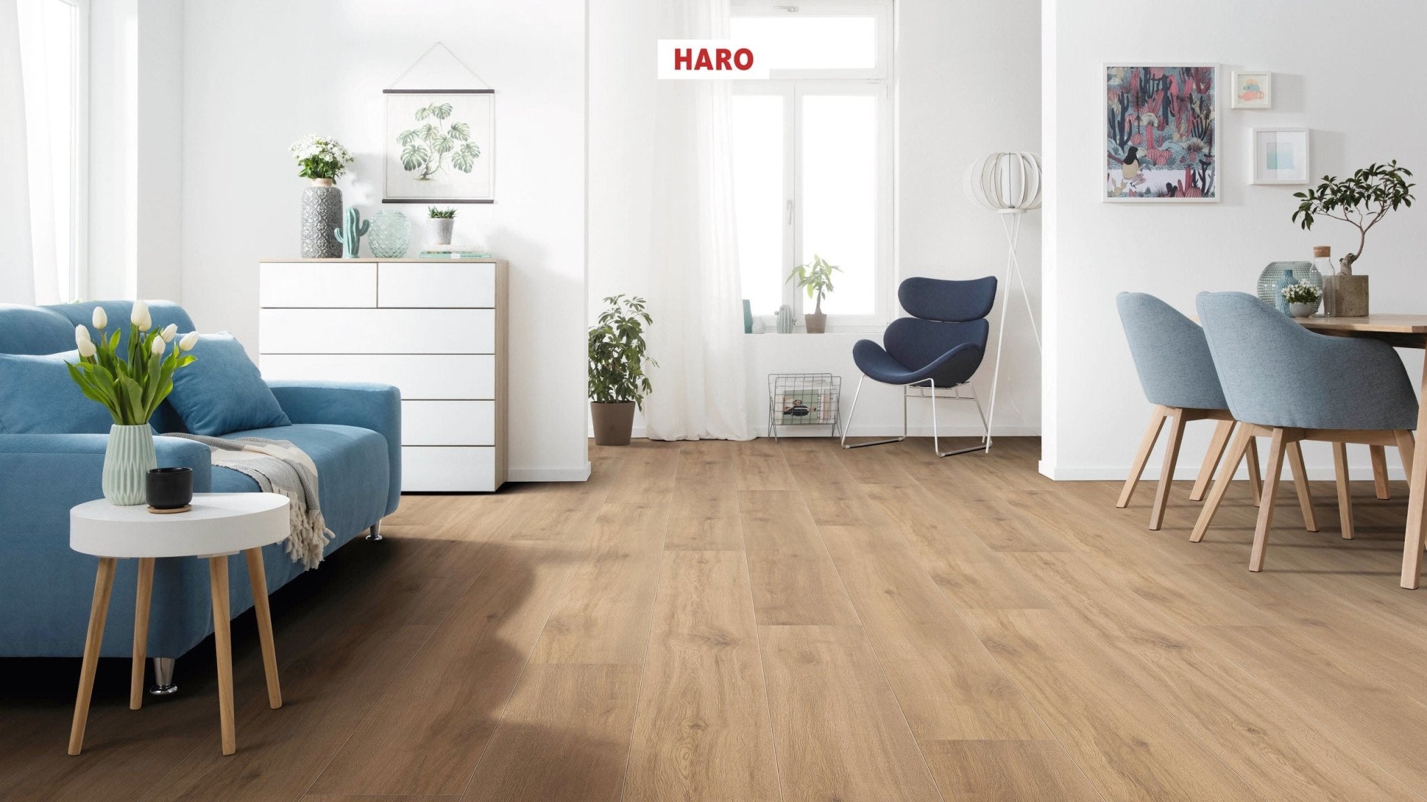 Disano Classic Aqua Eiche Provence natur - Lagerware - kaufen Meine Holzhandlung - Holz kaufen München