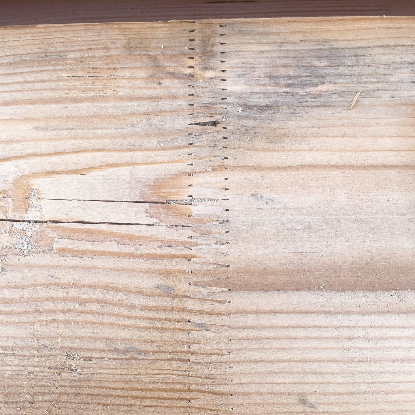 KVH im Zuschnitt - kaufen Meine Holzhandlung - Holz kaufen München