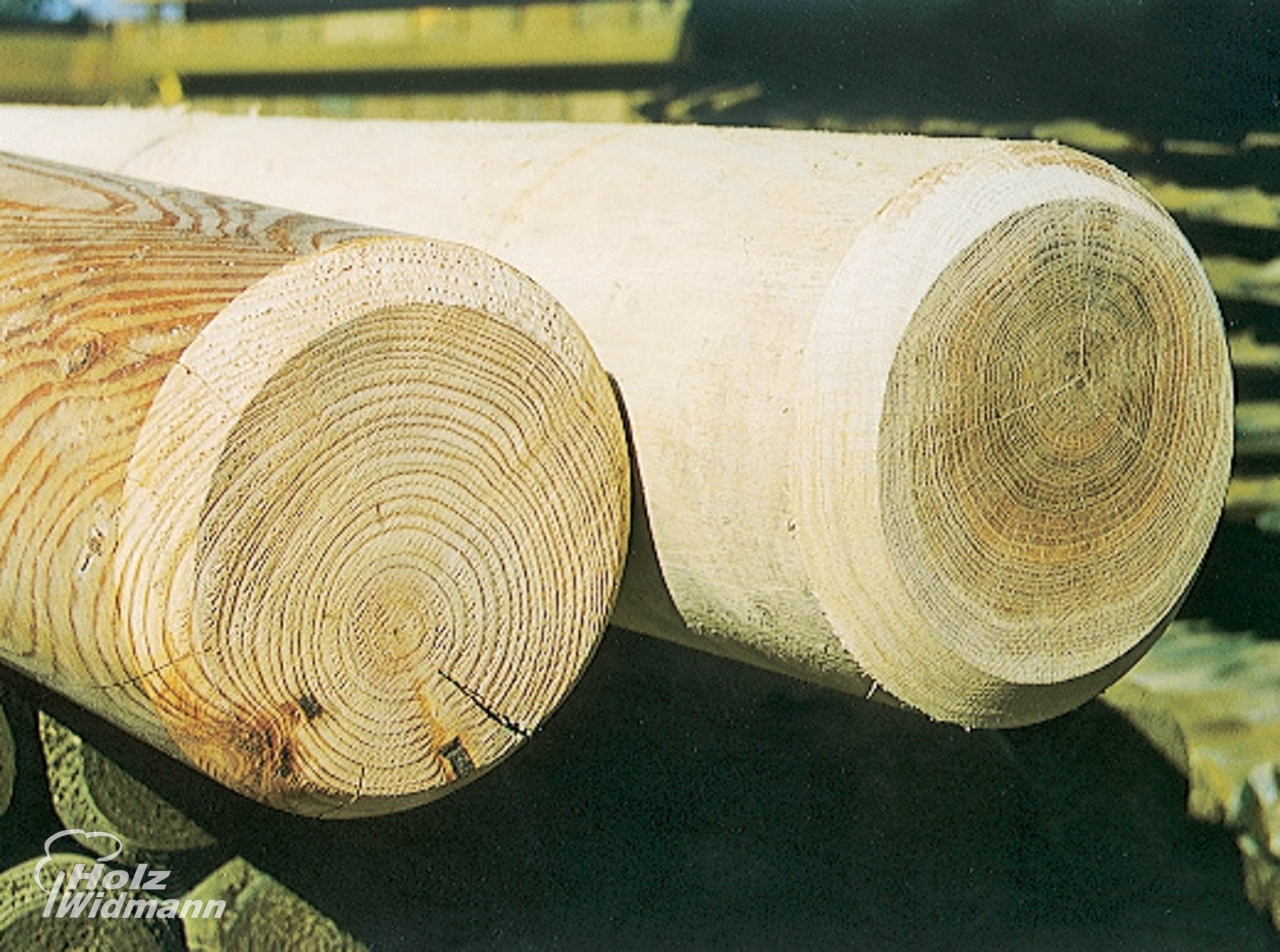 Schneefangstangen/Palisaden - kaufen Meine Holzhandlung - Holz kaufen München