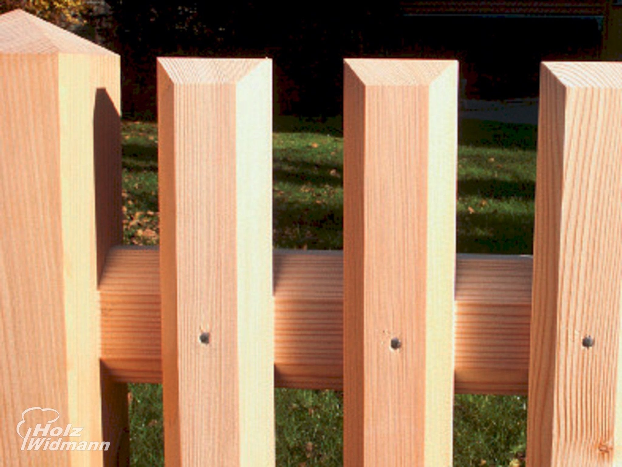 Sechskant Zaunlatten - oben schräg - kaufen Meine Holzhandlung - Holz kaufen München