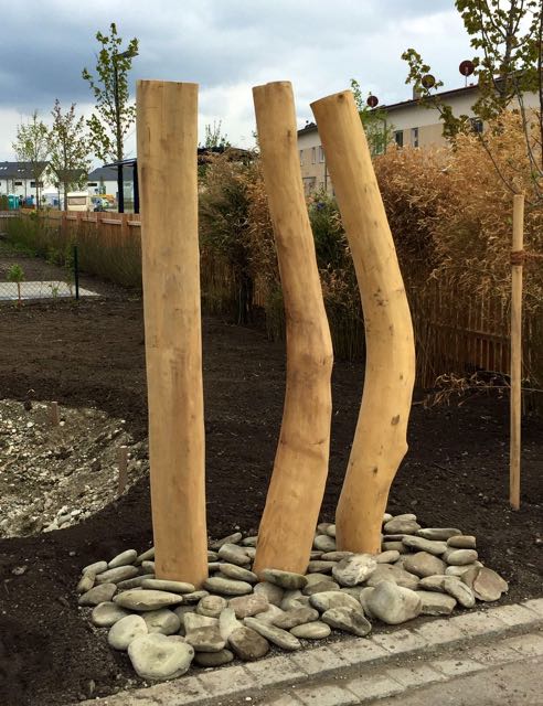 Robinienstämme - Holz Widmann - Meine Holzhandlung - Holz kaufen München