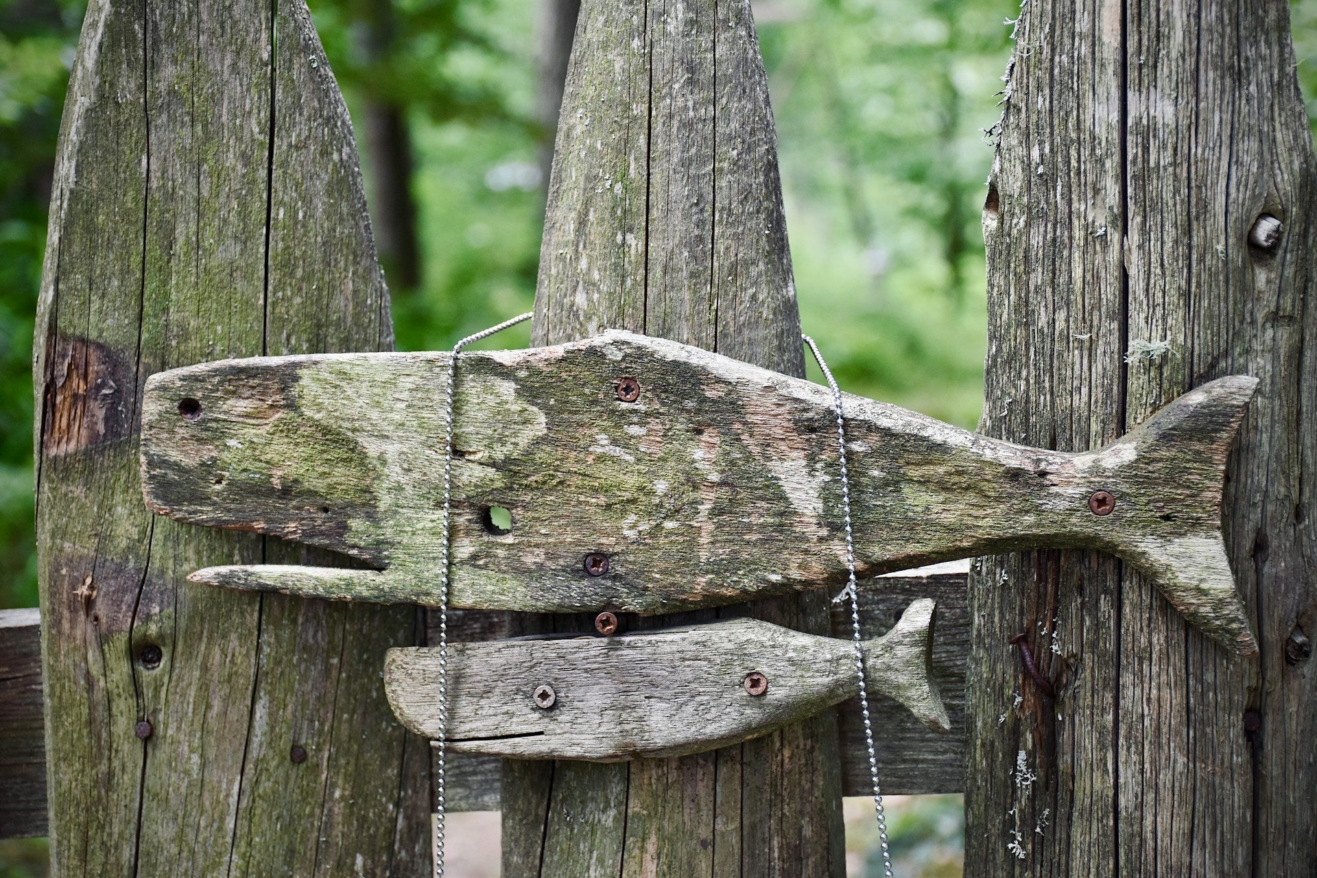 Warum Buchenholz für den Außenbereich eine schlechte Wahl is - Holz Widmann - Meine Holzhandlung - Holz kaufen München